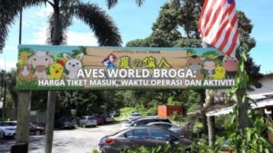 aves world