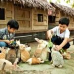 Top 9 Best Petting Zoos and Animal Farms in KL: The Ultimate Family Guide