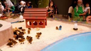 ioi city farm