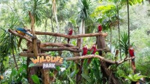 wildlife park