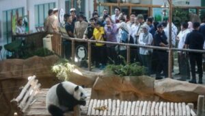 zoo negara